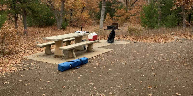 Camper submitted image from Camp Doris