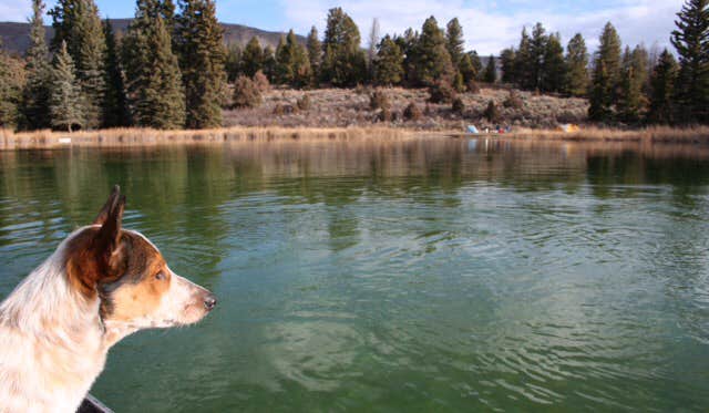 Camper-submitted photo at Blue Lake Camp near White River National Forest