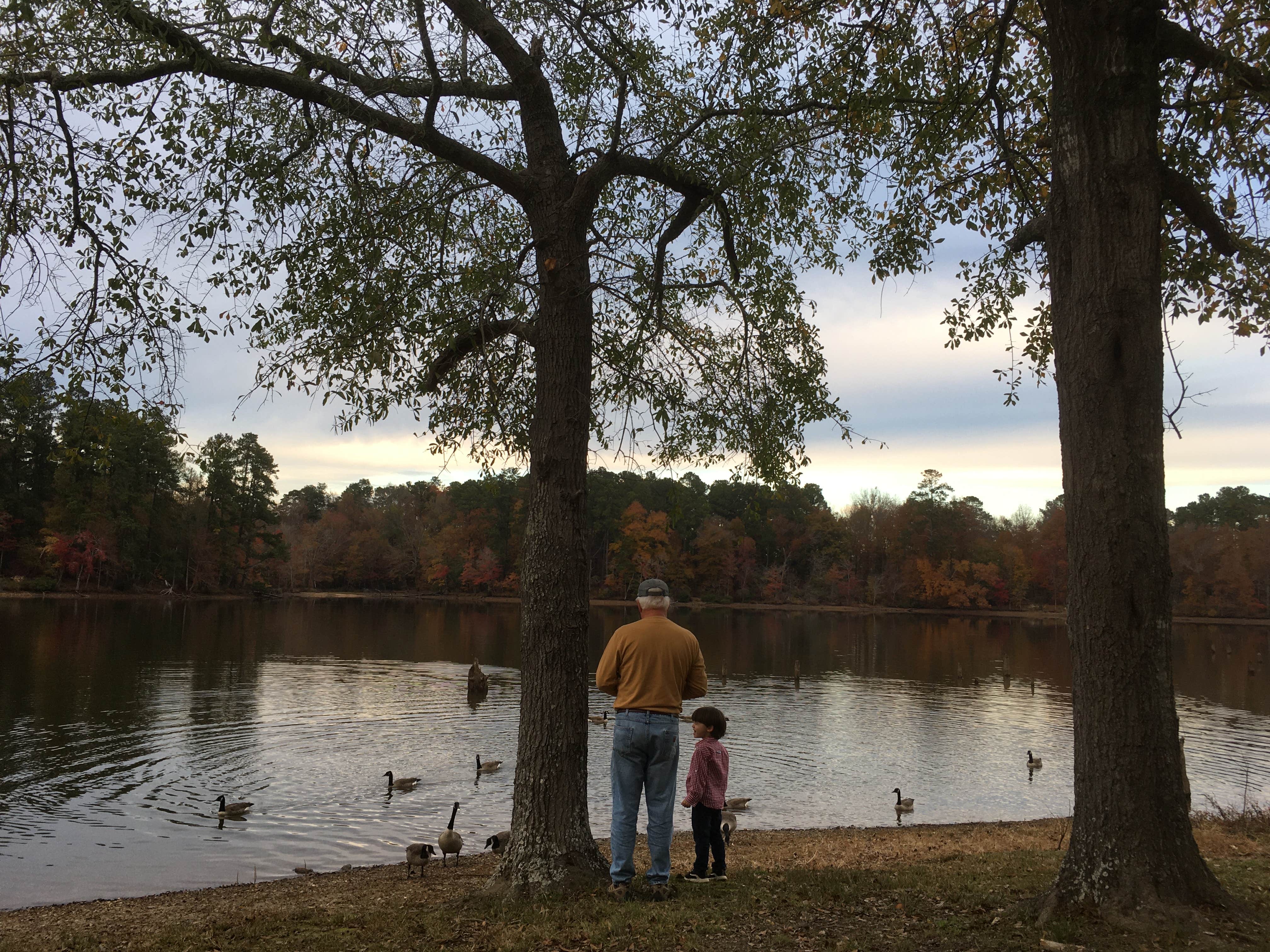 Camper submitted image from Hamburg State Park Campground - 5