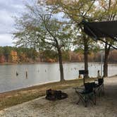 Review photo of Hamburg State Park Campground by Susan H., November 26, 2019