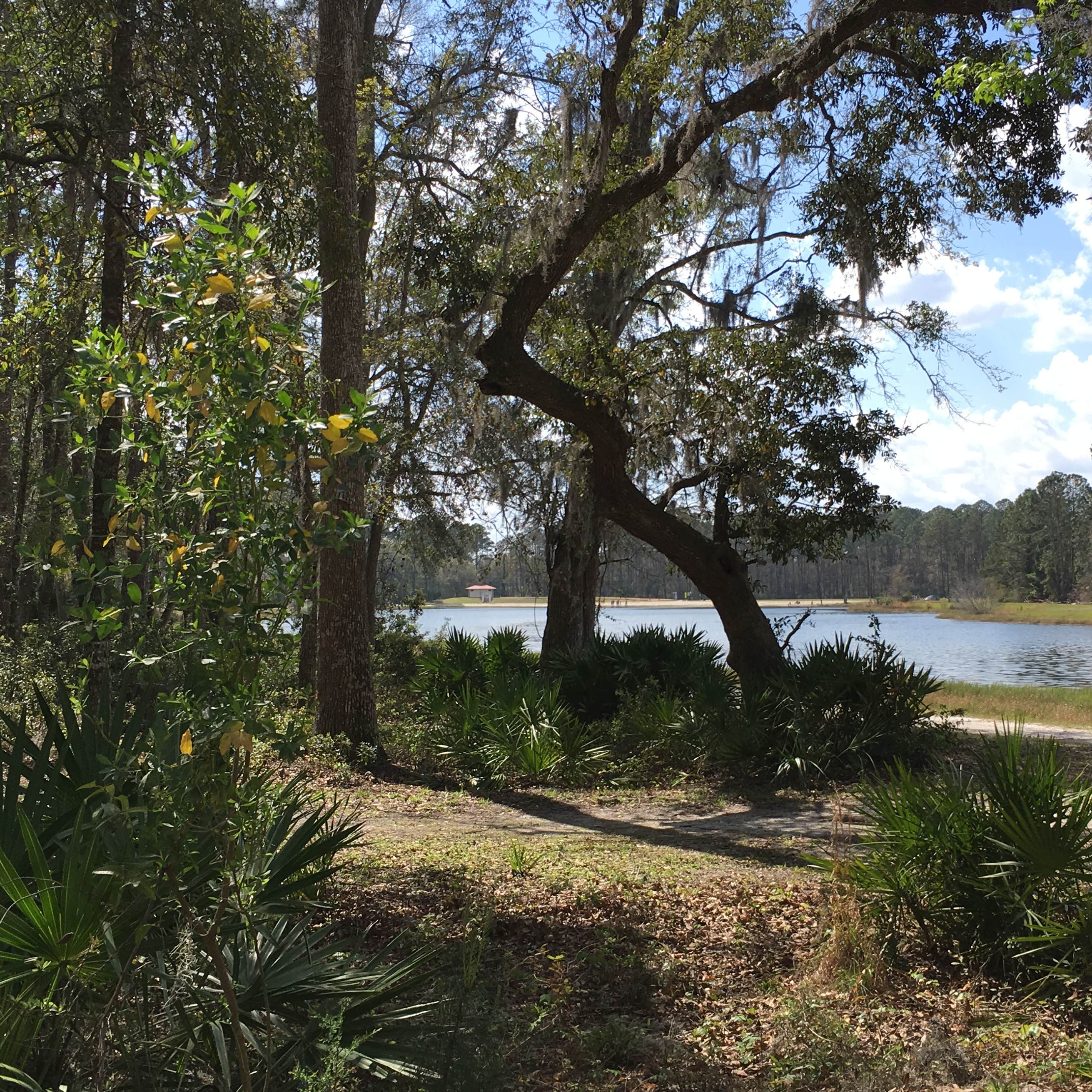 Blythe Island Regional Park Camping The Dyrt