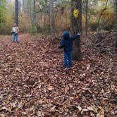 Review photo of Hamburg State Park Campground by Susan H., November 26, 2019