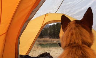 Isabelle K.'s photo at Blue Lake Camp near Avon, CO