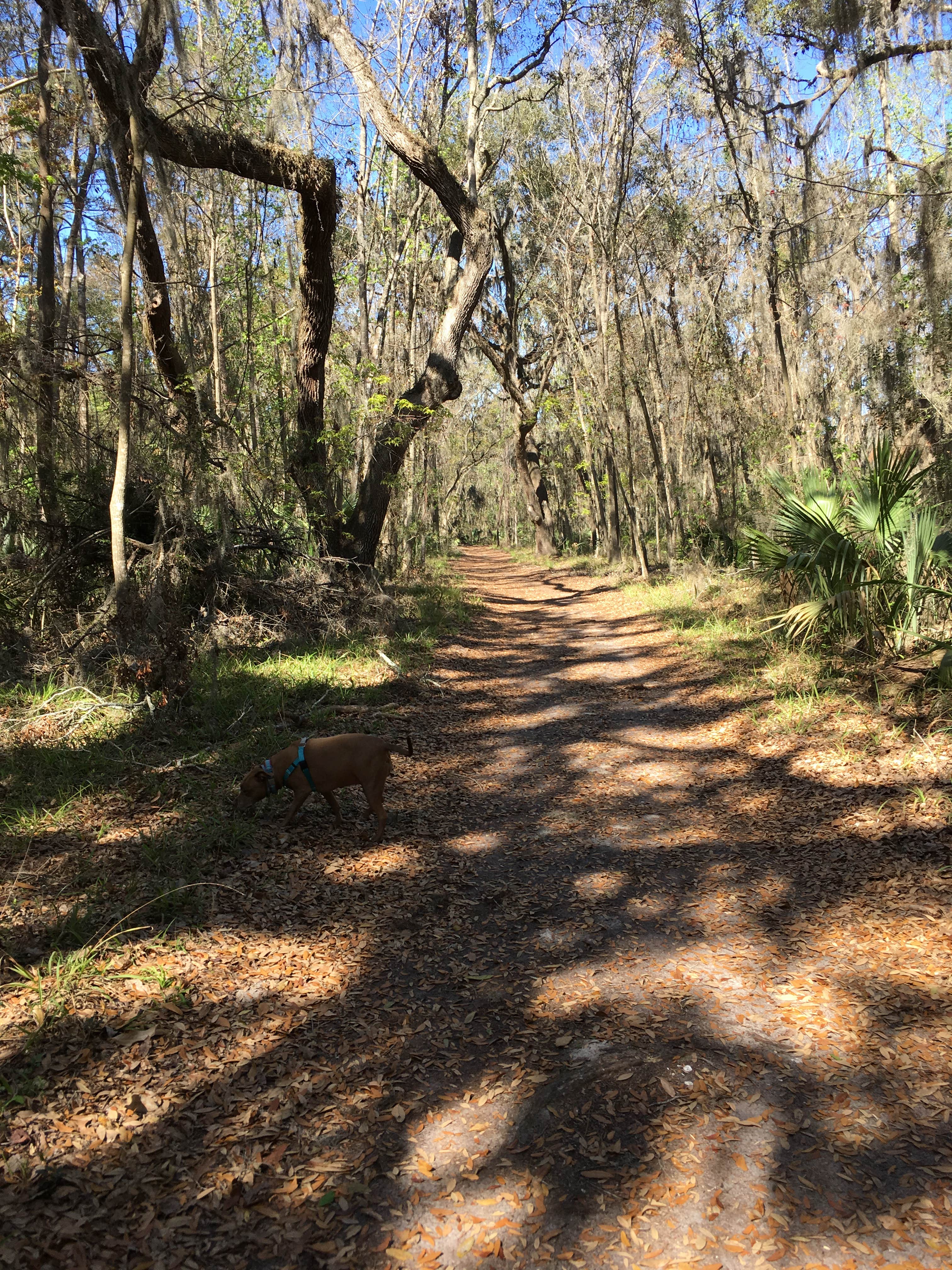 Camper submitted image from Blythe Island Regional Park - 2