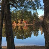 Review photo of Hamburg State Park Campground by Susan H., November 26, 2019