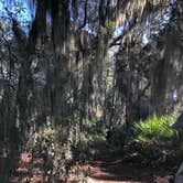 Review photo of Skidaway Island State Park Campground by Jan P., November 27, 2019