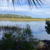 Review photo of Skidaway Island State Park Campground by Jan P., November 27, 2019