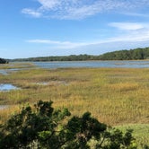 Review photo of Skidaway Island State Park Campground by Jan P., November 27, 2019