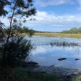 Review photo of Skidaway Island State Park Campground by Jan P., November 27, 2019