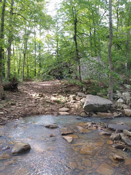 Camper submitted image from Kings River Falls Campground - 2