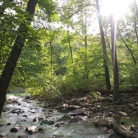 Kings River Falls Campground Camping The Dyrt