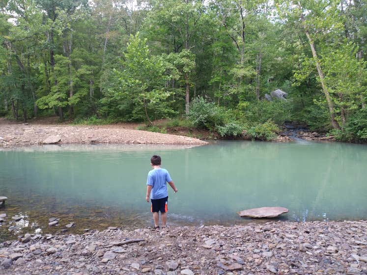 Camper submitted image from Kings River Falls Campground - 5