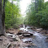 Review photo of Kings River Falls Campground by Rhonda L., November 27, 2019