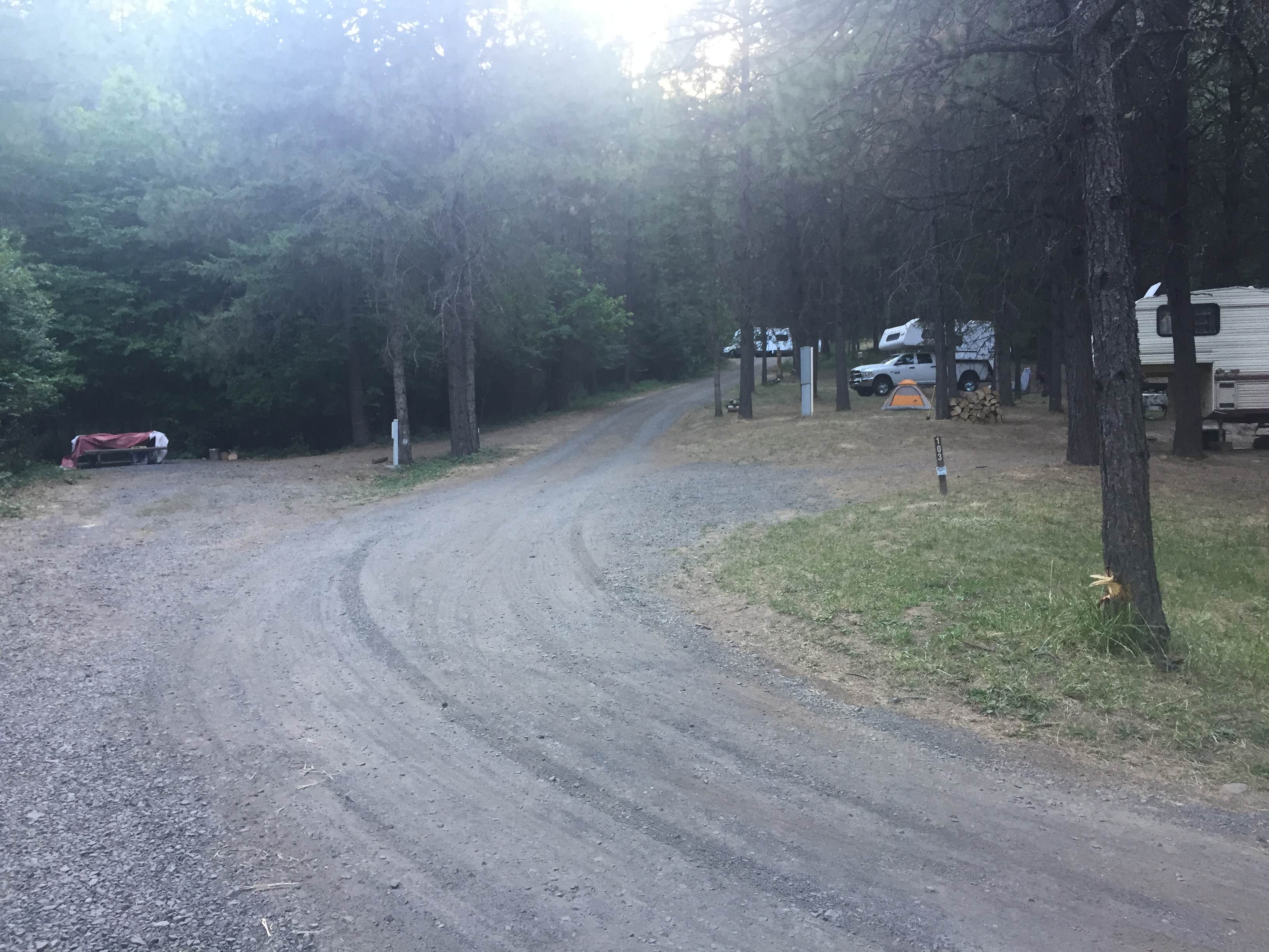 Camper submitted image from Freeman Creek Campground — Dworshak State Park - 5