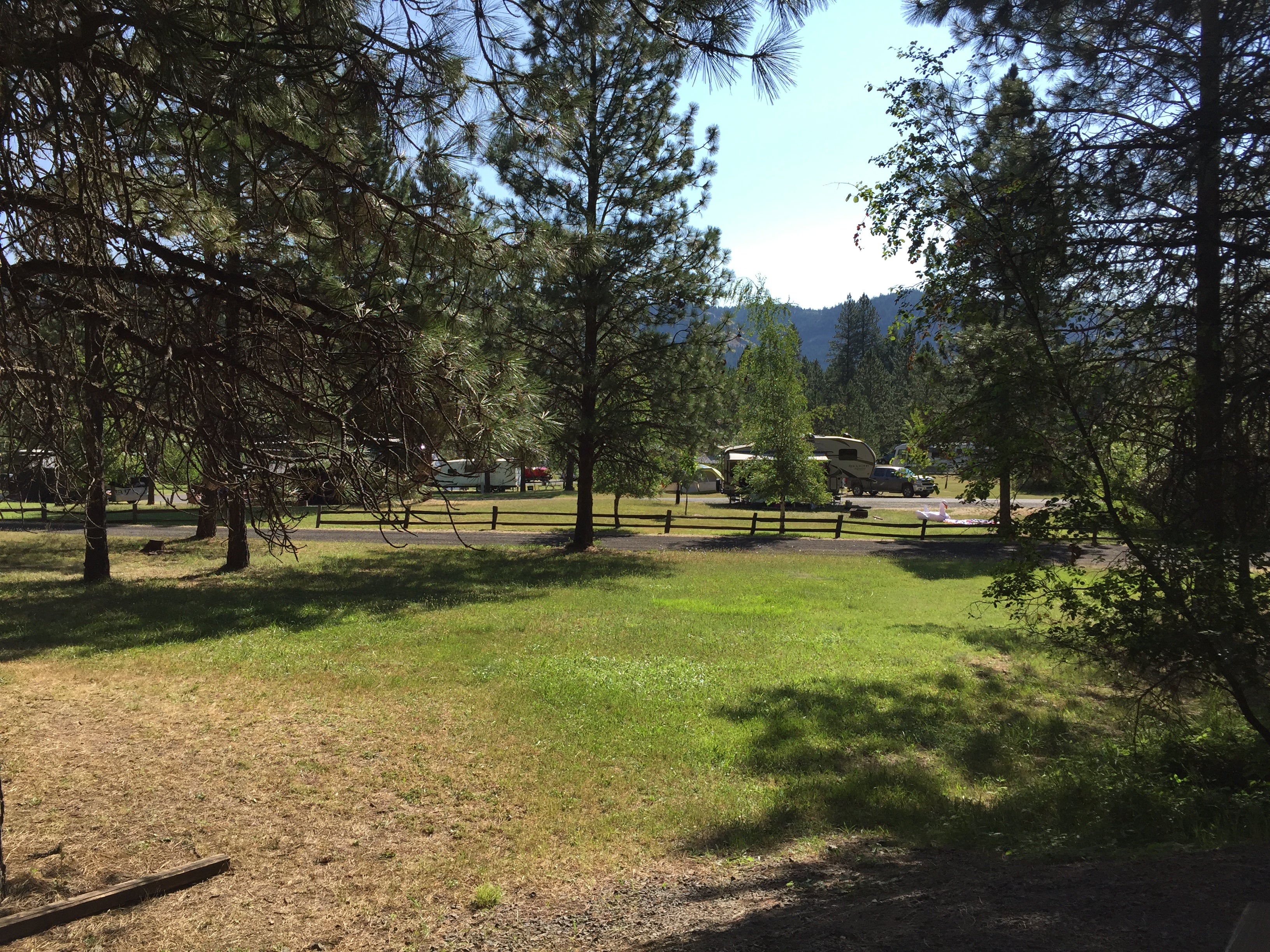 Camper submitted image from Freeman Creek Campground — Dworshak State Park - 2