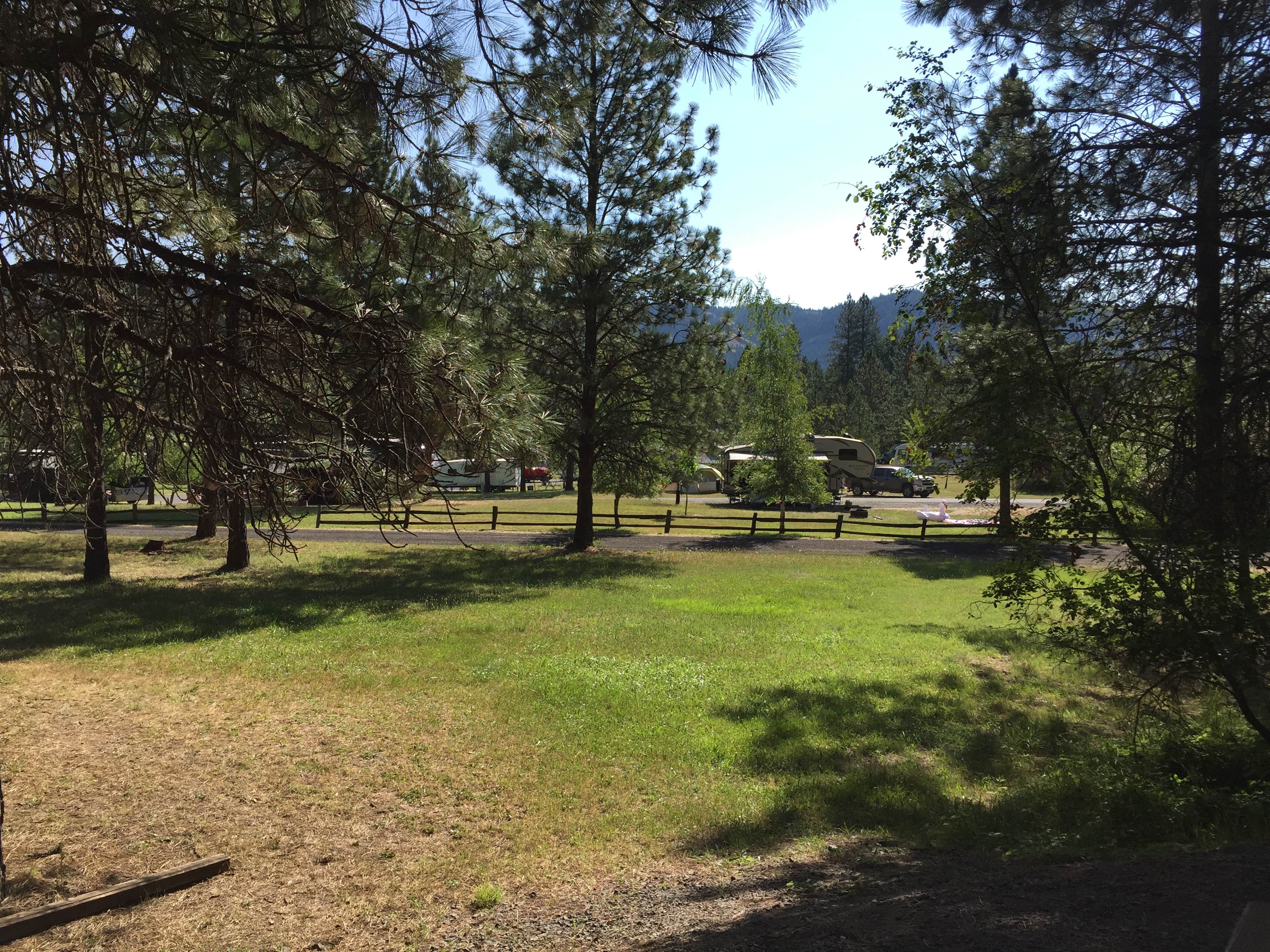 Camper submitted image from Freeman Creek Campground — Dworshak State Park - 2