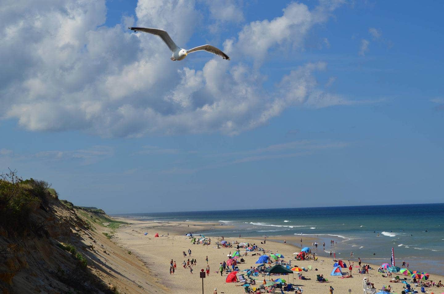 Camper submitted image from Beach View House — Cape Cod National Seashore - 5