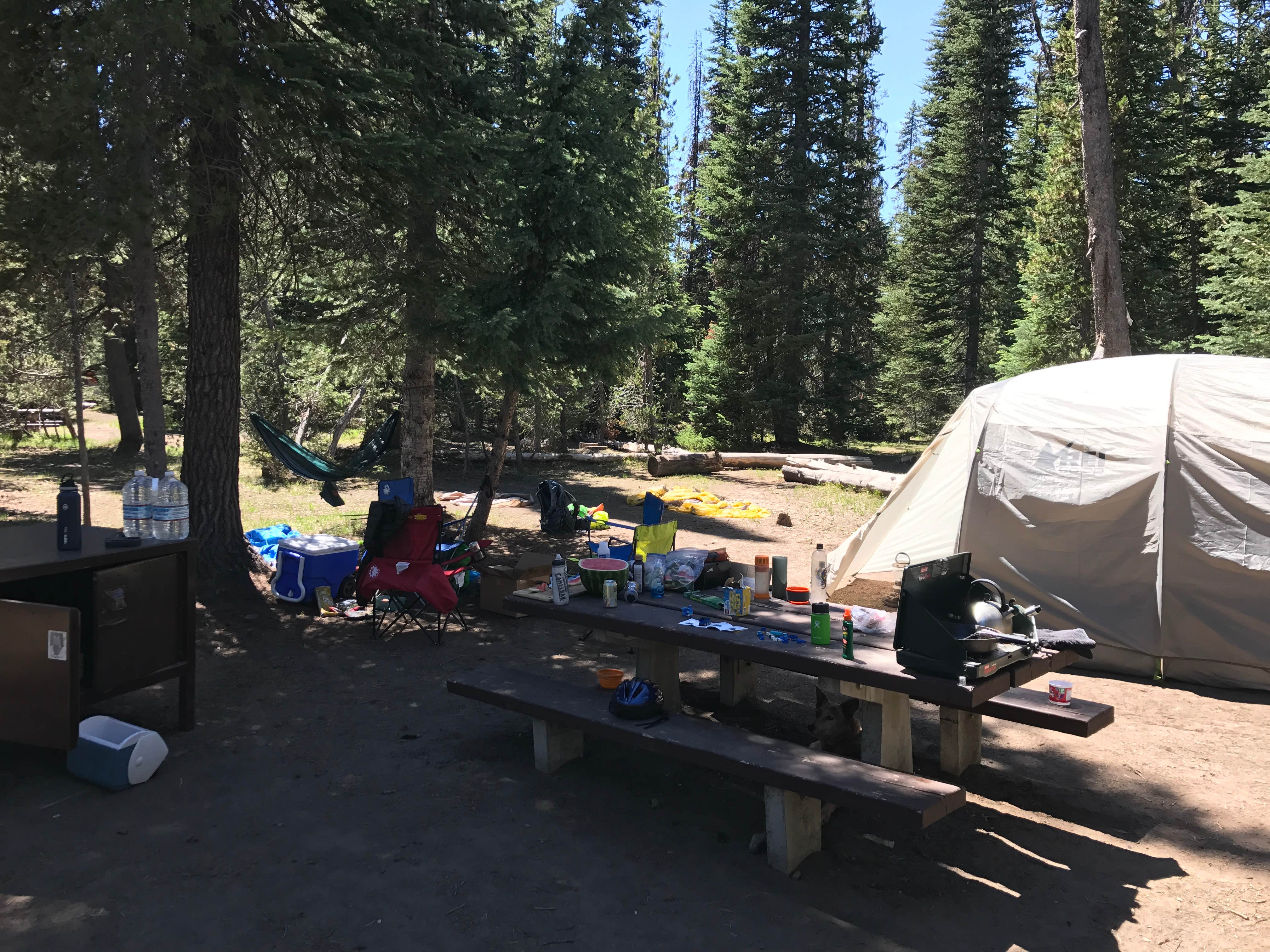 Camper-submitted photo at Mazama Village Campground — Crater Lake National Park in Oregon