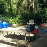 Review photo of Jessie M. Honeyman Memorial State Park Campground by Tj B., August 24, 2017