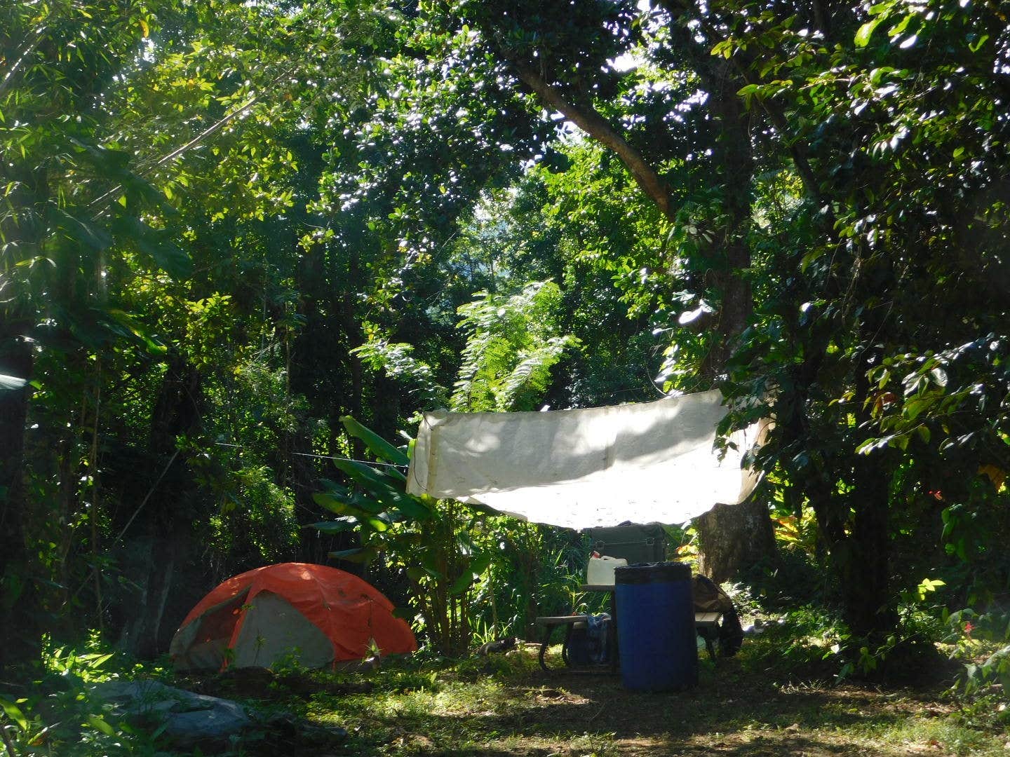 Camper submitted image from Hacienda Monte Rey - 2