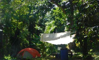 Gerardo M.'s photo at Hacienda Monte Rey in Puerto Rico