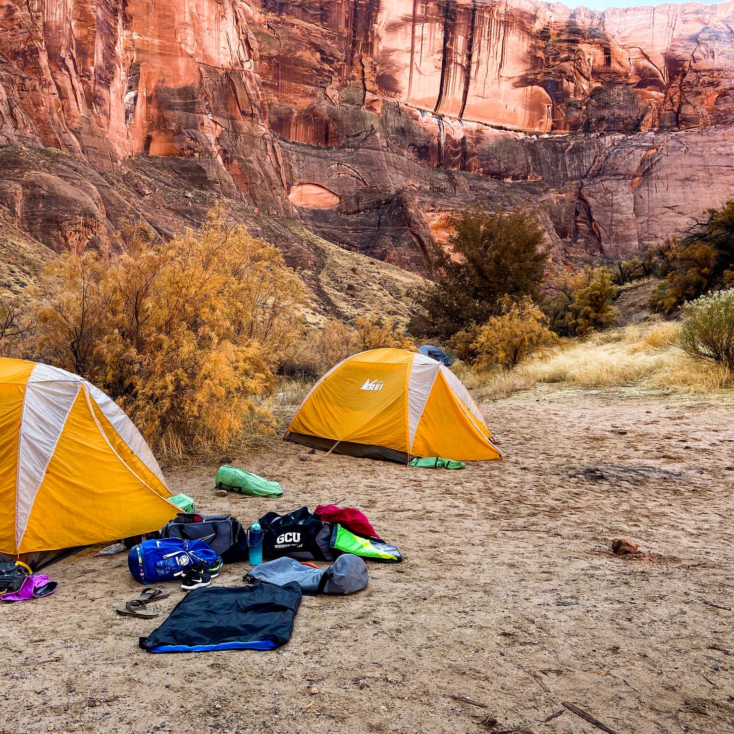 Horseshoe Bend 9 Mile Campsite Camping The Dyrt