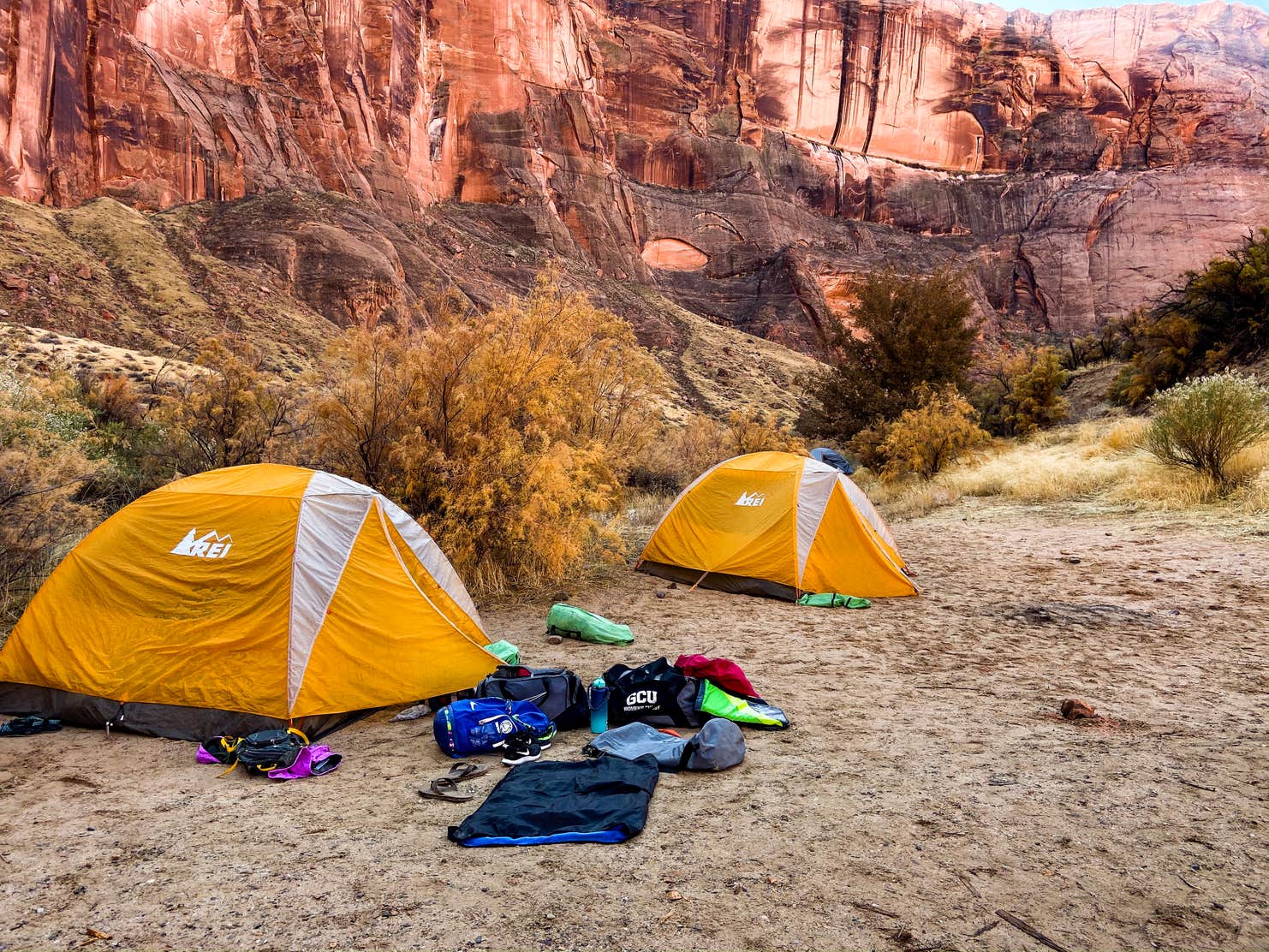 Horseshoe Bend 9 Mile Campsite Camping The Dyrt