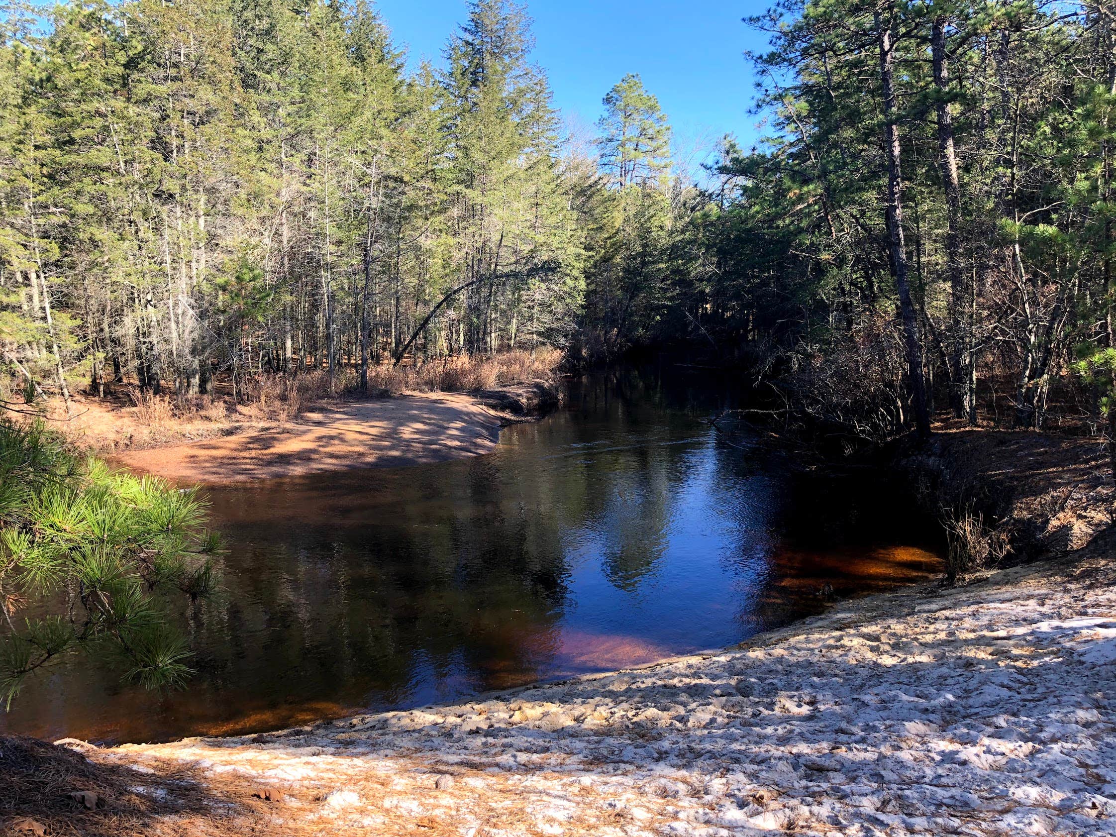 Camper-submitted photo at Batona — Wharton State Forest near Lacey, NJ