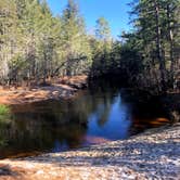 Review photo of Batona — Wharton State Forest by Alex T., December 1, 2019