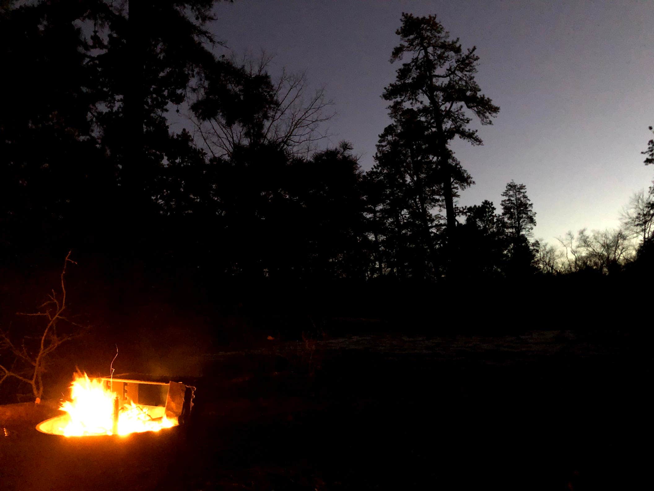 Camper submitted image from Batona — Wharton State Forest - 4