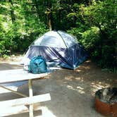Review photo of Jessie M. Honeyman Memorial State Park Campground by Tj B., August 24, 2017