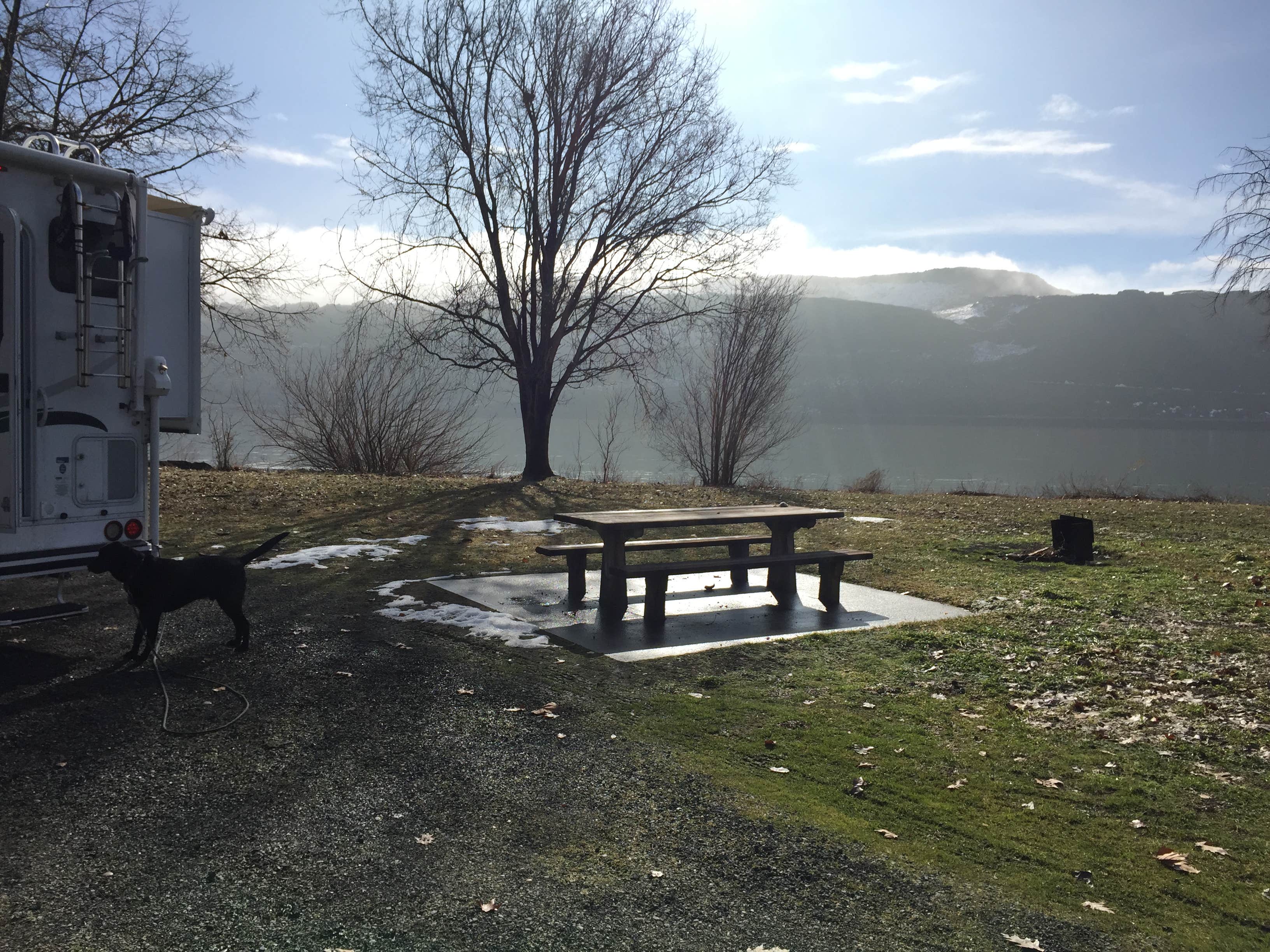 Dawn G.'s photo of camping with pets at Maryhill State Park Campground near The Dalles, OR