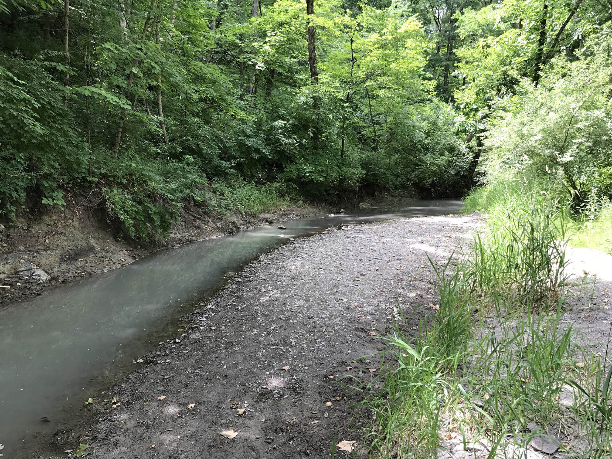 Camper submitted image from Pleasant Creek Campground - 5