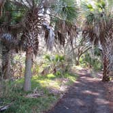 Review photo of Skidaway Island State Park Campground by Suzy E., December 1, 2019