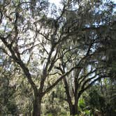 Review photo of Skidaway Island State Park Campground by Suzy E., December 1, 2019