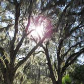 Review photo of Skidaway Island State Park Campground by Suzy E., December 1, 2019