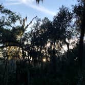 Review photo of Skidaway Island State Park Campground by Suzy E., December 1, 2019