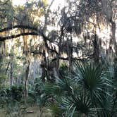 Review photo of Skidaway Island State Park Campground by Suzy E., December 1, 2019