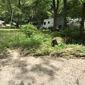 Review photo of Pleasant Creek Campground by Melissa B., August 24, 2017