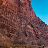 Review photo of Watchman Campground — Zion National Park by Kathy F., December 2, 2019