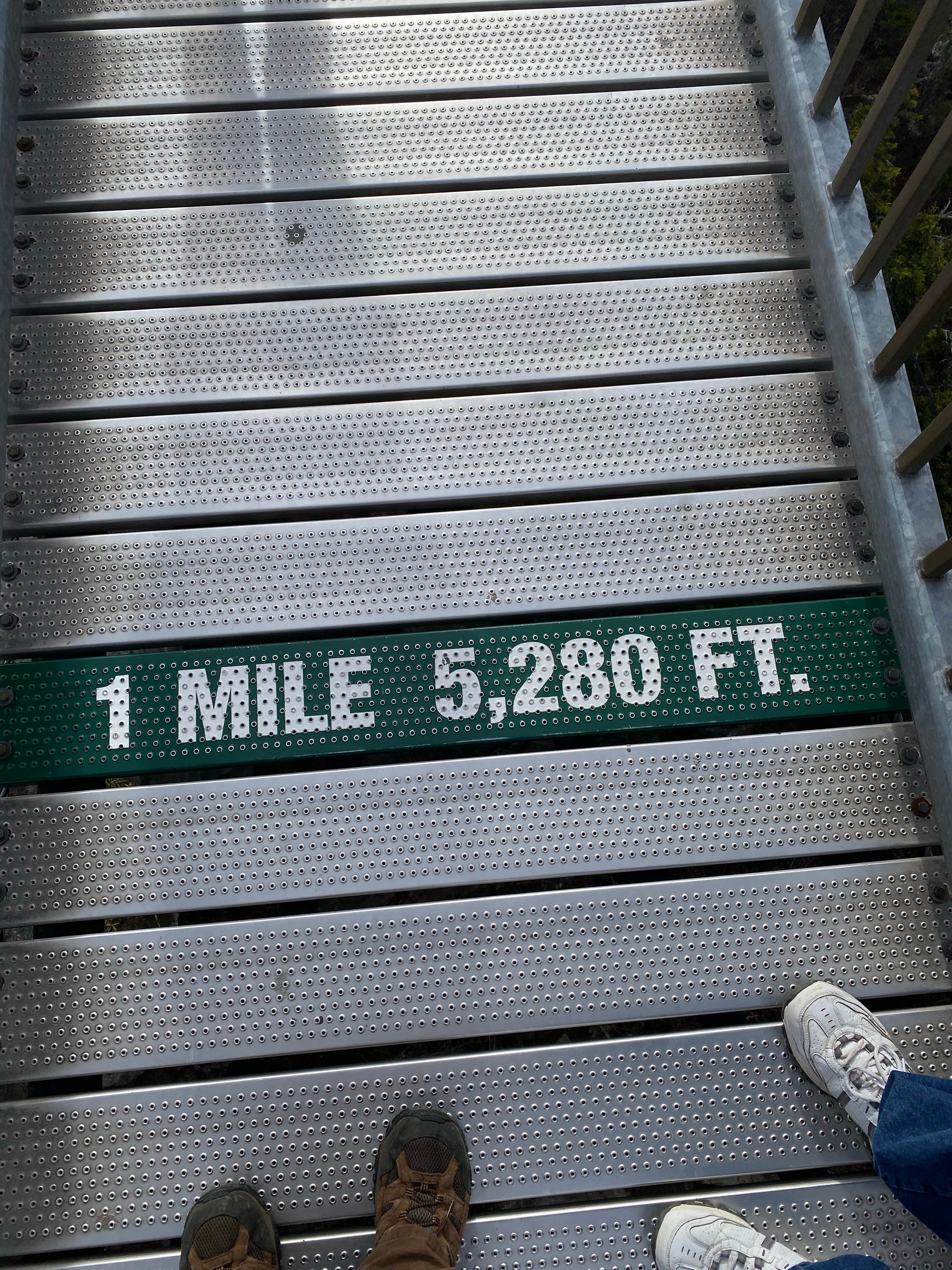 Camper-submitted photo at Grandfather Mountain State Park Campsites near Vilas, NC