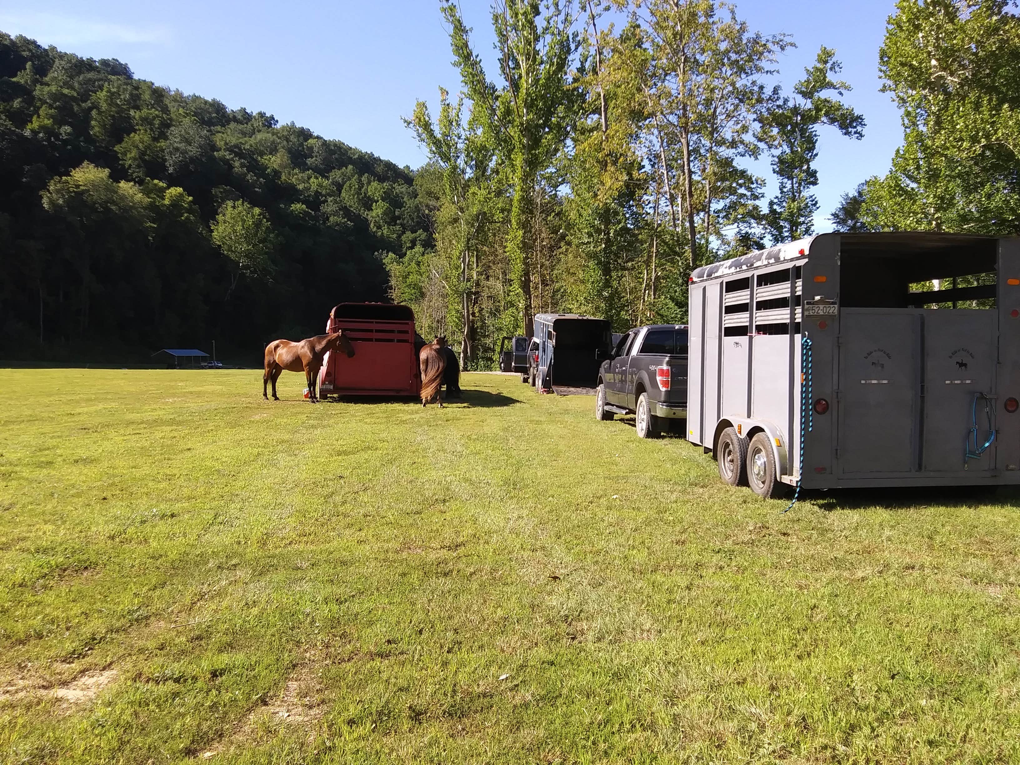 Katrina  B.'s photo of camping with a horse at Elk River Camp and RV Park near Burnsville Lake