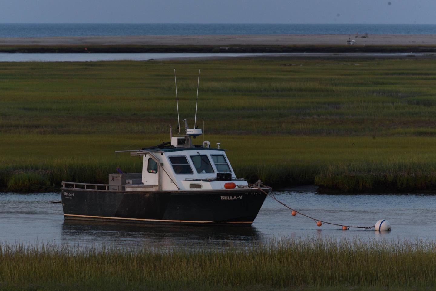 Explore the harbors and marshes of Wellfleet



Credit: NPS