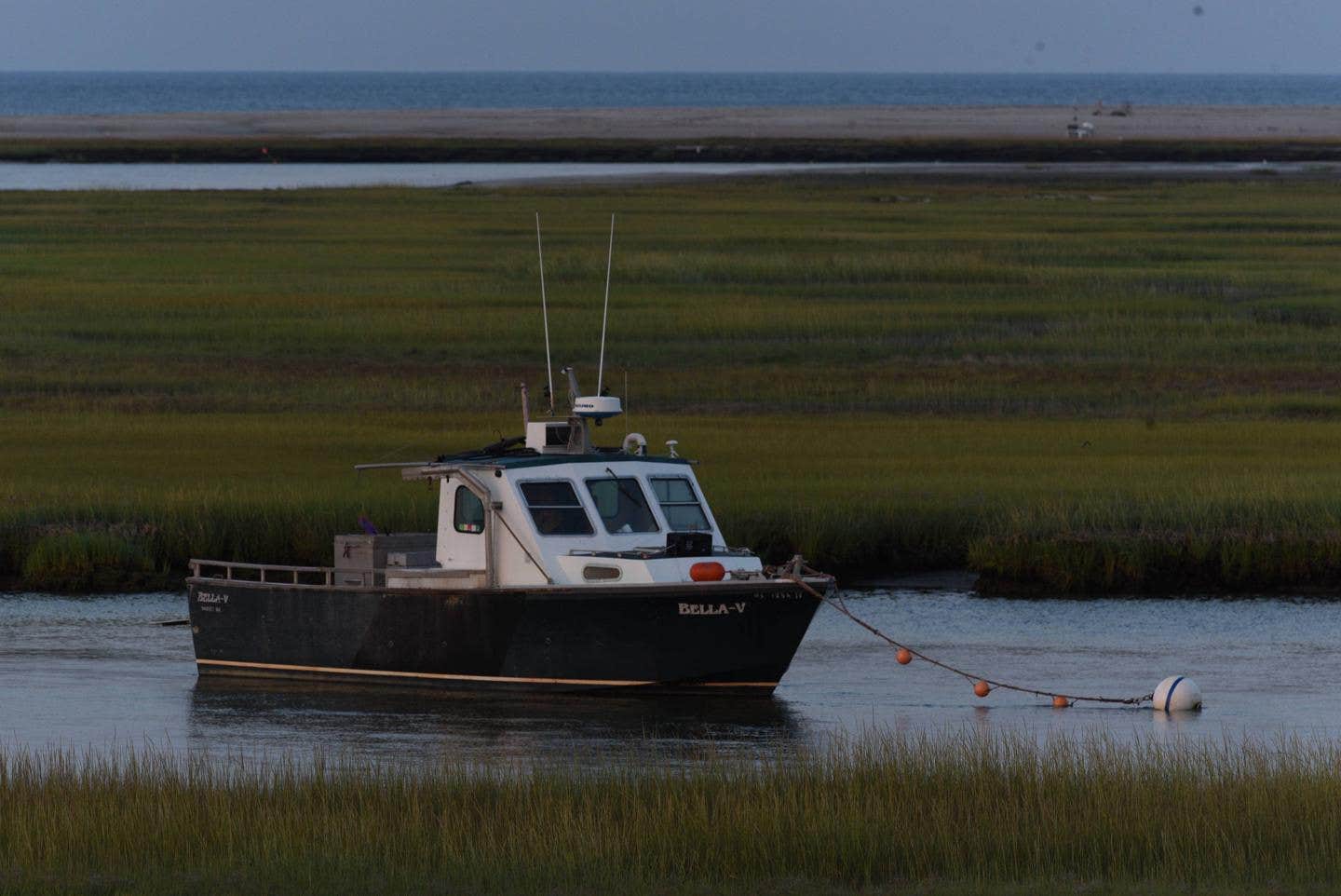 Camper submitted image from Bay View House — Cape Cod National Seashore - 4