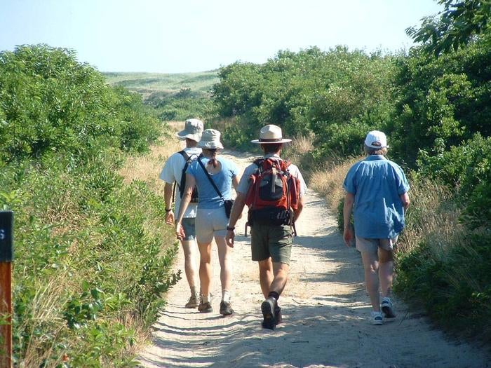 Another benefit to staying in the Cape Cod National Seashore, is the wide variety of park programs that you can participate in.



Credit: NPS
