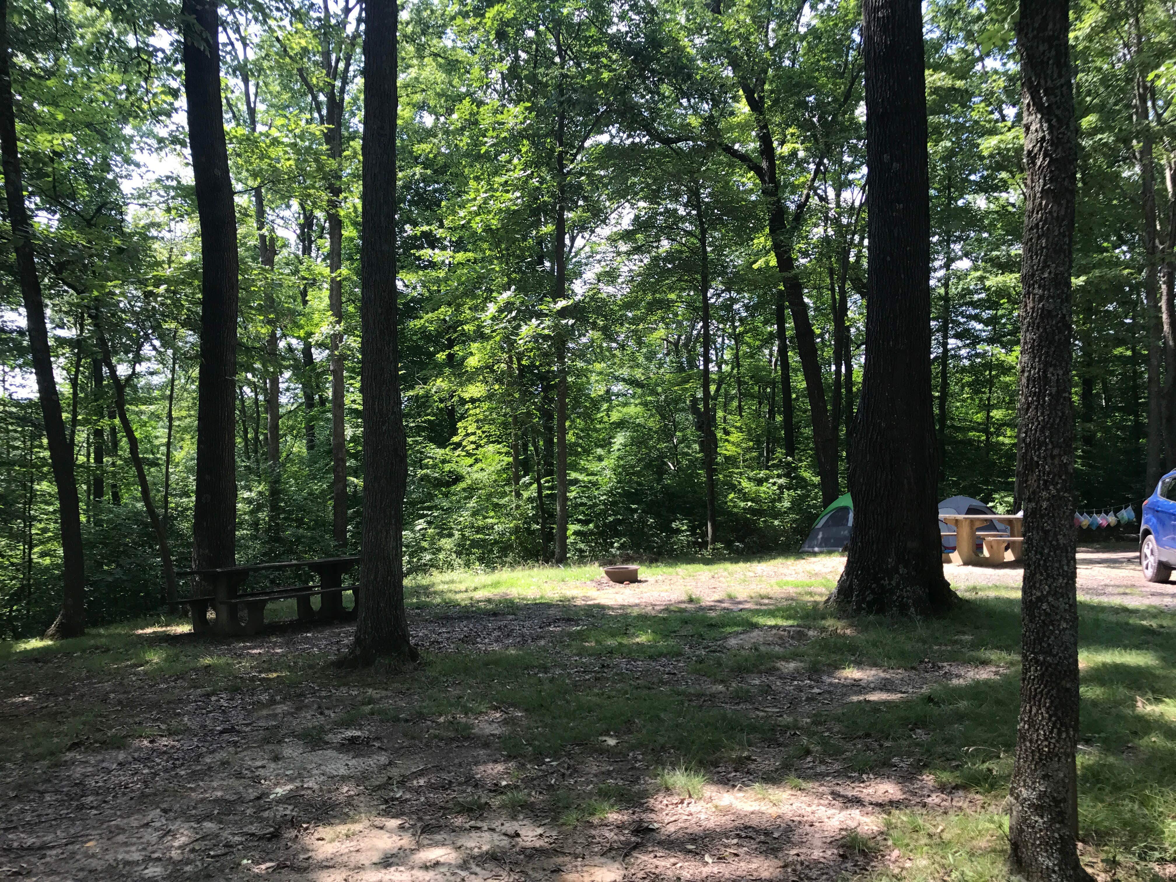 Camper submitted image from Mountwood Park Family Campground(Wood County Park) - 3