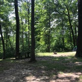 Review photo of Mountwood Park Family Campground(Wood County Park) by Dave V., August 24, 2017