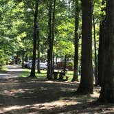 Review photo of Mountwood Park Family Campground(Wood County Park) by Dave V., August 24, 2017