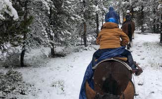 David N.'s photo of camping with a horse at Headwaters Campground at Flagg Ranch — John D. Rockefeller, Jr., Memorial Parkway near West Yellowstone, MT