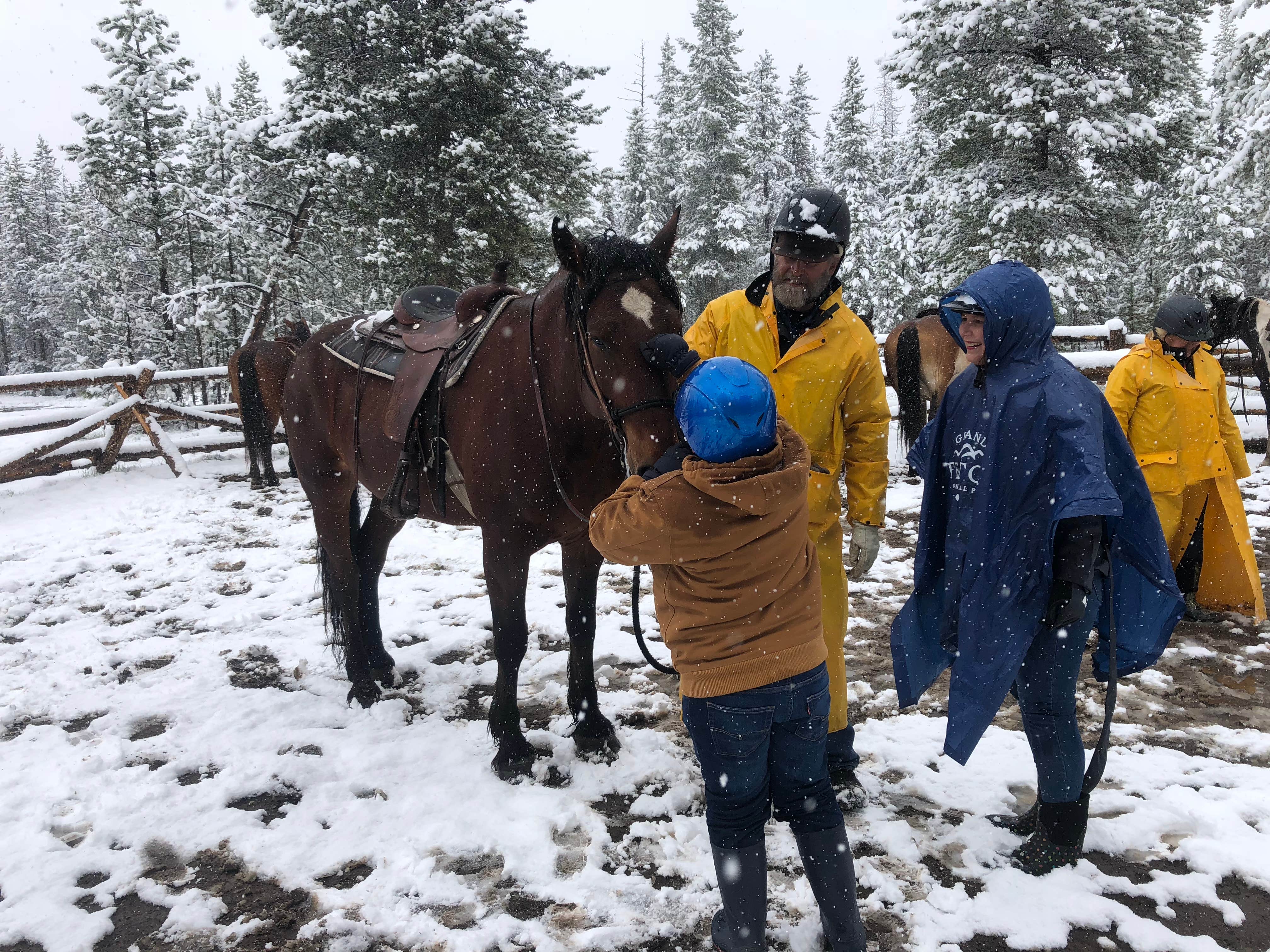 David N.'s photo of camping with a horse at Headwaters Campground at Flagg Ranch — John D. Rockefeller, Jr., Memorial Parkway near Yellowstone National Park